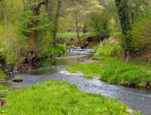 Kocába near Bratřínov