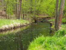 Kocába near Bratřínov