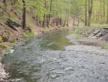 Kocába above Štěchovice