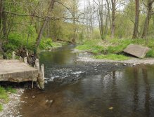 Kocába below Nový Knín