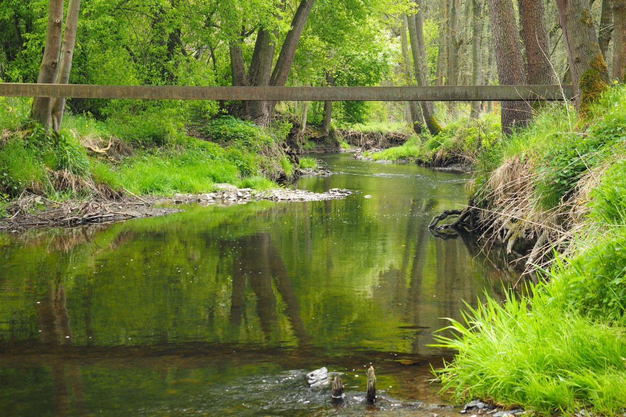 Koc�ba below Nov� Kn�n