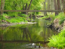 Kocába below Nový Knín