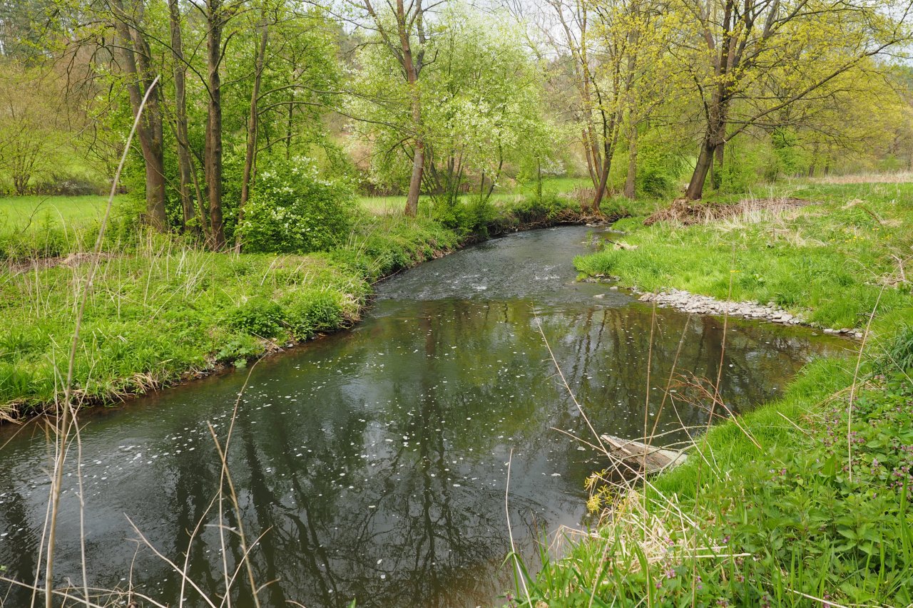 Koc�ba near Velk� Le�ice