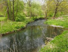 Kocába near Velká Lečice