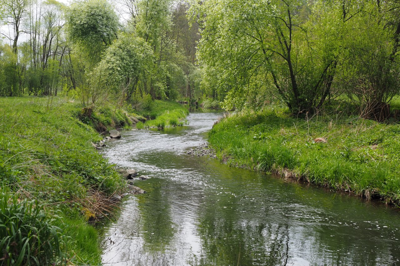 Koc�ba near Velk� Le�ice