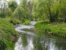 Kocába near Velká Lečice