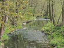 Kocába near Velká Lečice