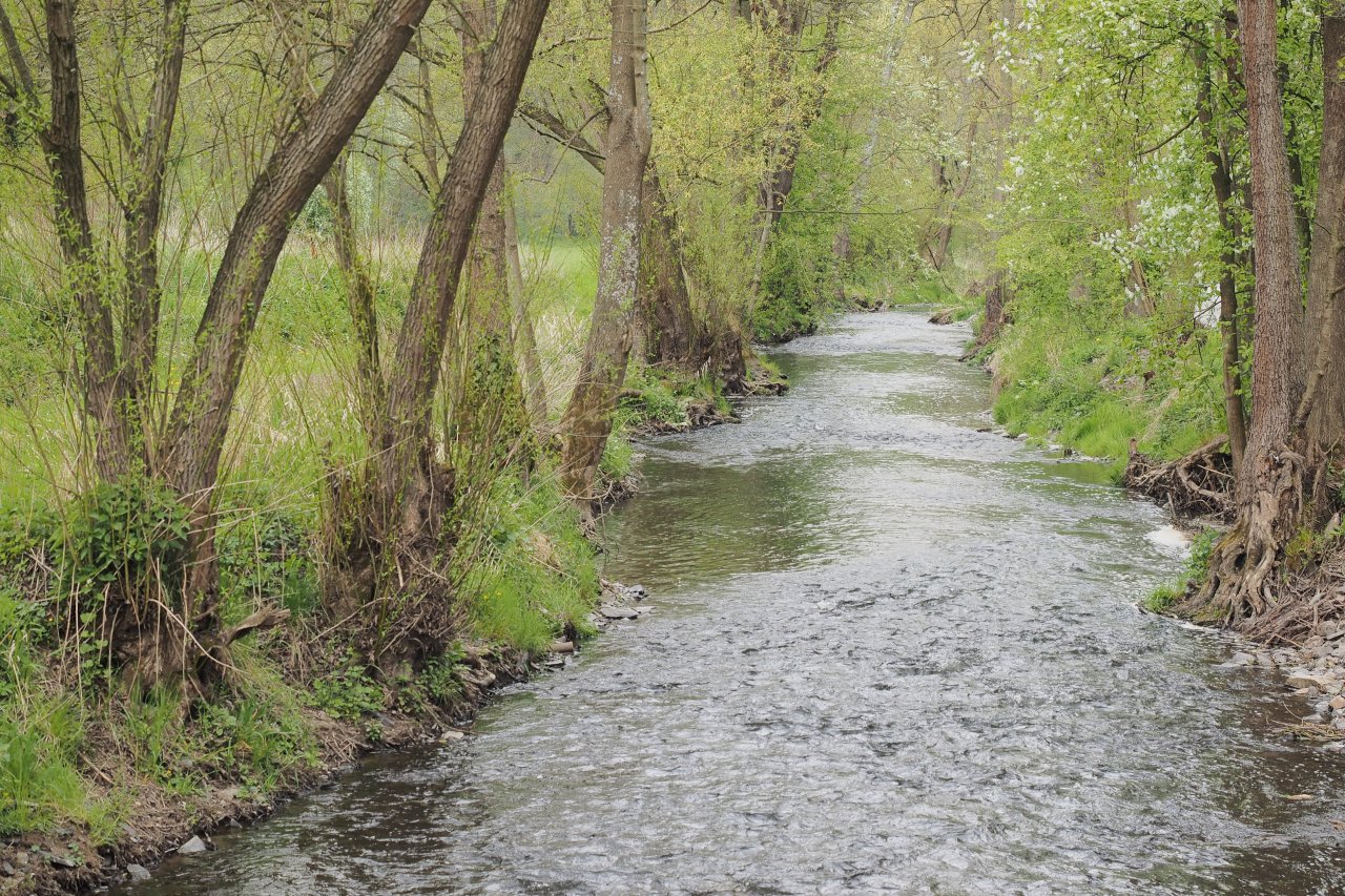 Koc�ba near Velk� Le�ice