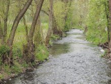 Kocába near Velká Lečice