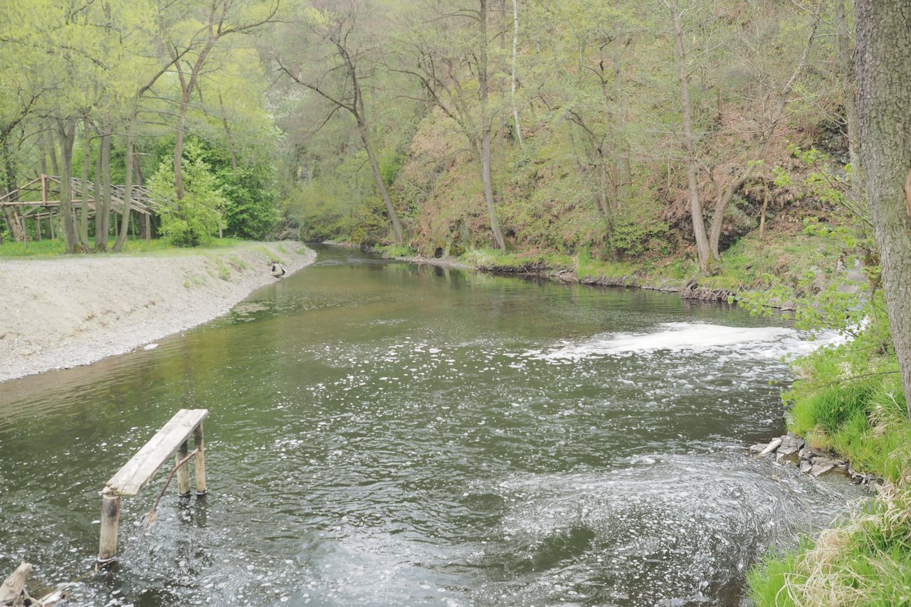 Koc�ba in Mal� Le�ice