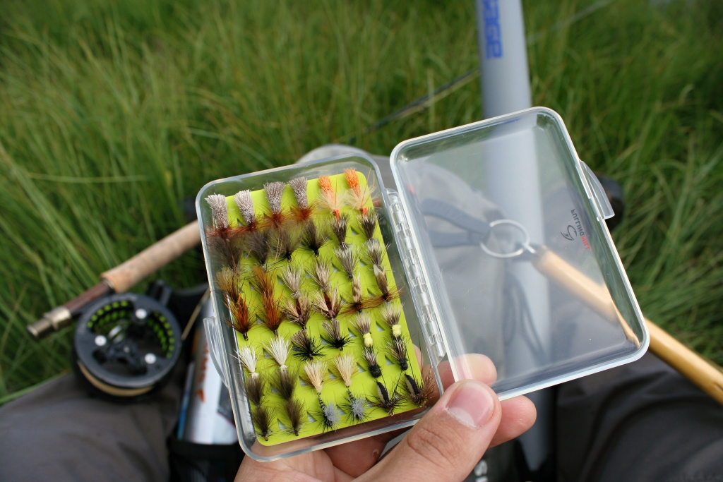 Which one should I try now?