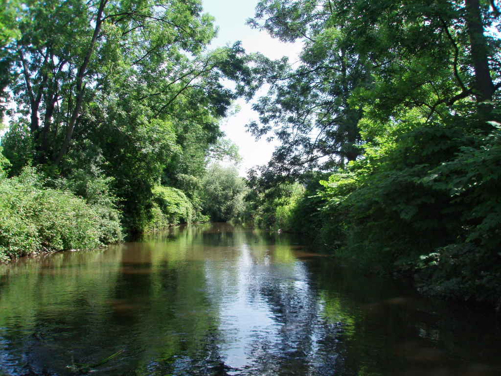 You think nice water for wet fly, right?... Yes, but dry fly is better!
