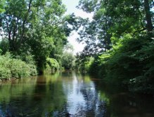 You think nice water for wet fly, right?... Yes, but dry fly is better!