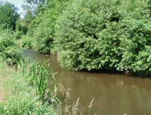 We can start! Beautiful place for summer chub fishing