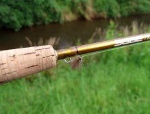 First choice - Championship Caddis ready to action!