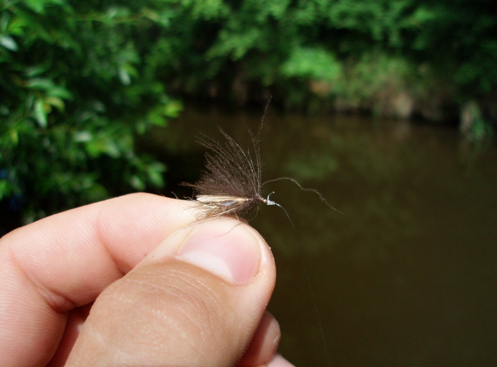 Time for change - This time I try CJ CDC Caddis