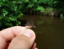 Time for change - This time I try CJ CDC Caddis