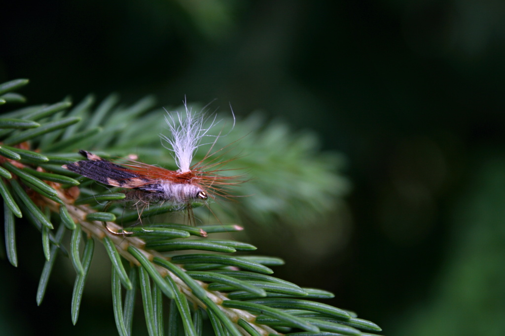 Parachute Caddis - To my surprise a great floating pattern... And very effective trout dry fly of course!