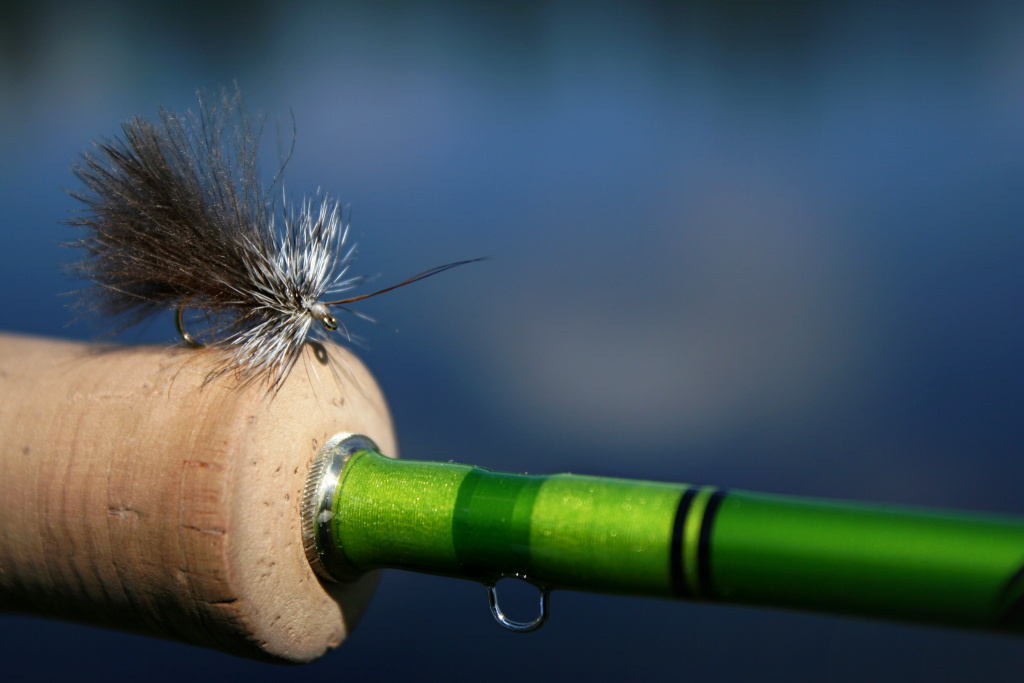High Rider CDC Sedge - Resting on my rod and ready to unsinkable dry fly fishing.