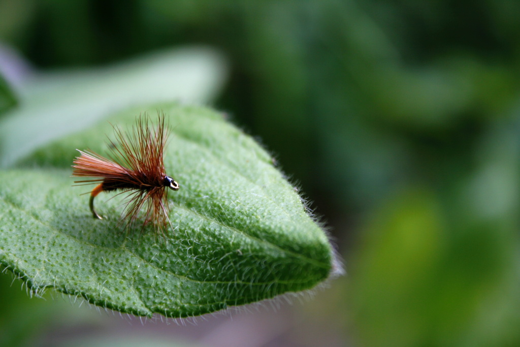 Walkers Sedge - Really nice small cinnamon sedge pattern. If you need, use a dry fly oil for better floating ability!