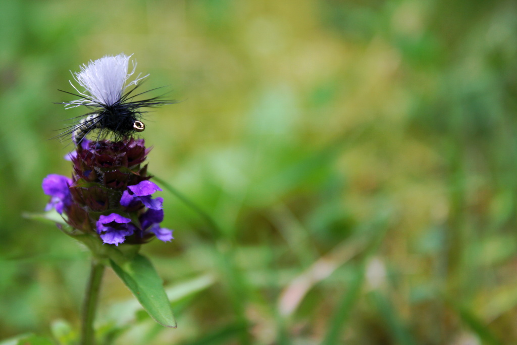 Grannom Pupa Para Emerger - Very nice nature colored dry fly pattern for trout and grayling with good visibility for fisherman! 