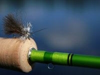 Starring: Fulling Mill Caddis & Sedge Dry Flies
