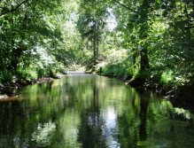 Great place for all fly techniques. But dry fly wins for me!