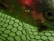 First underwater picture