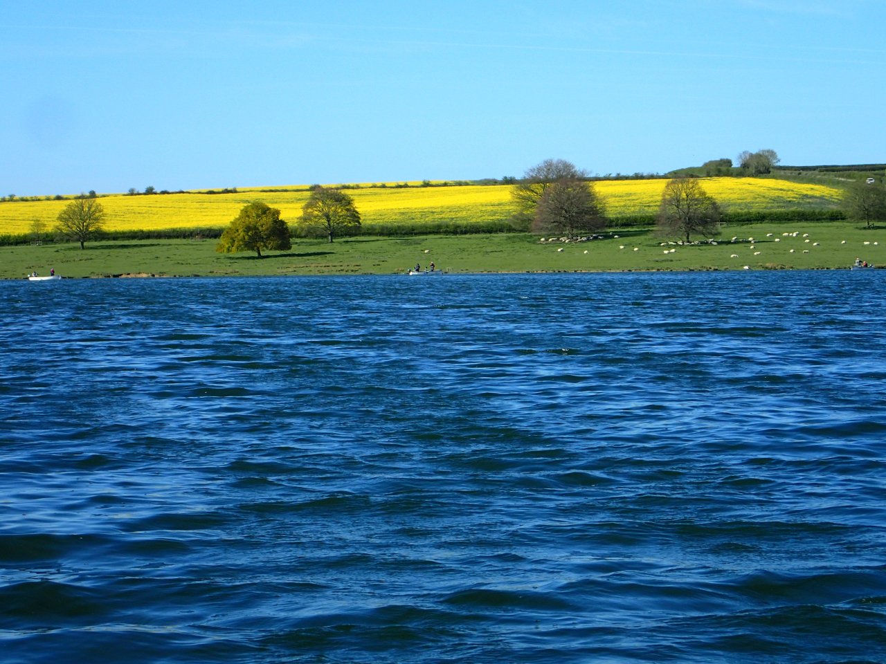 Eyebrook Trout Fishery