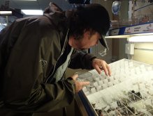 Filling the boxes in the lodge