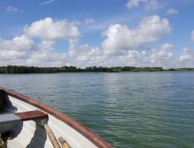 The view from the boat II