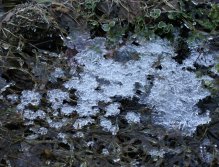 Incredible icy drawings.