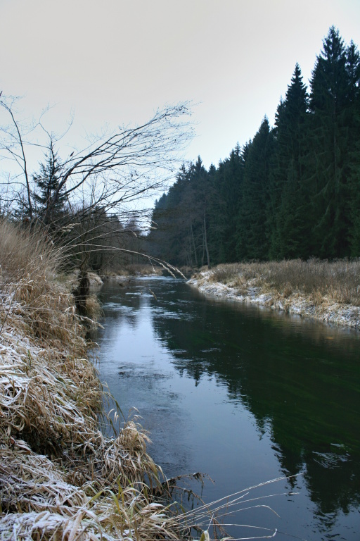Beauty of winter stream.