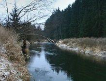 Beauty of winter stream.