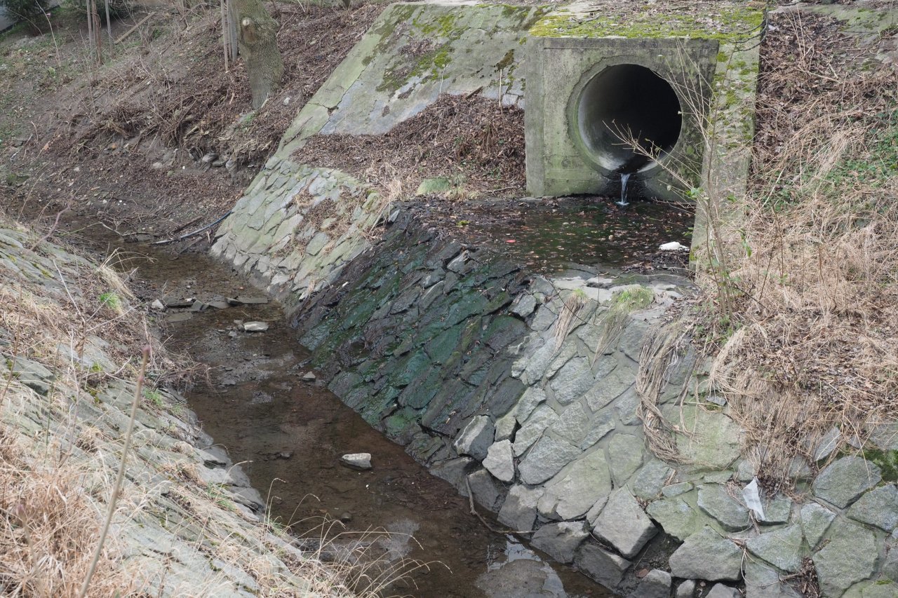 Dva p��toky Boti�e