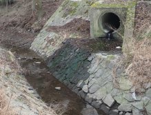 Dva přítoky Botiče