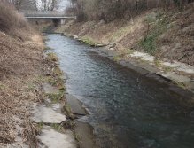 Starší regulace v Michli