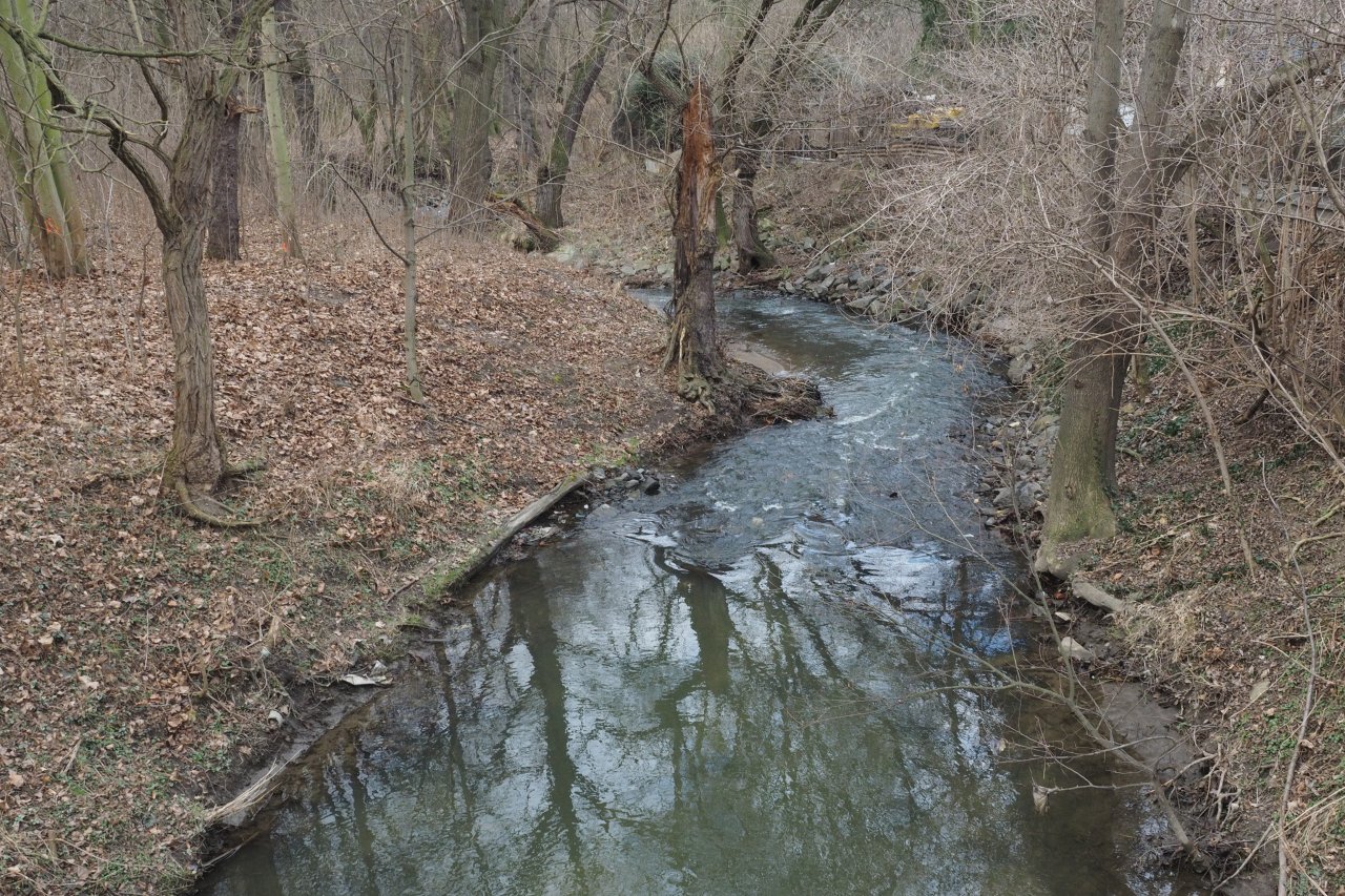 P��rodn� koryto Boti�e