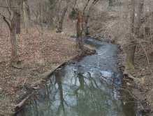 Přírodní koryto Botiče