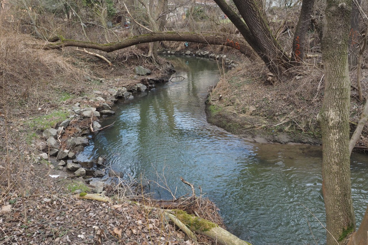 P��rodn� koryto Boti�e