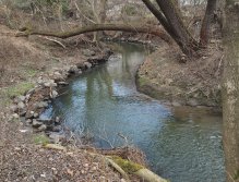 Přírodní koryto Botiče