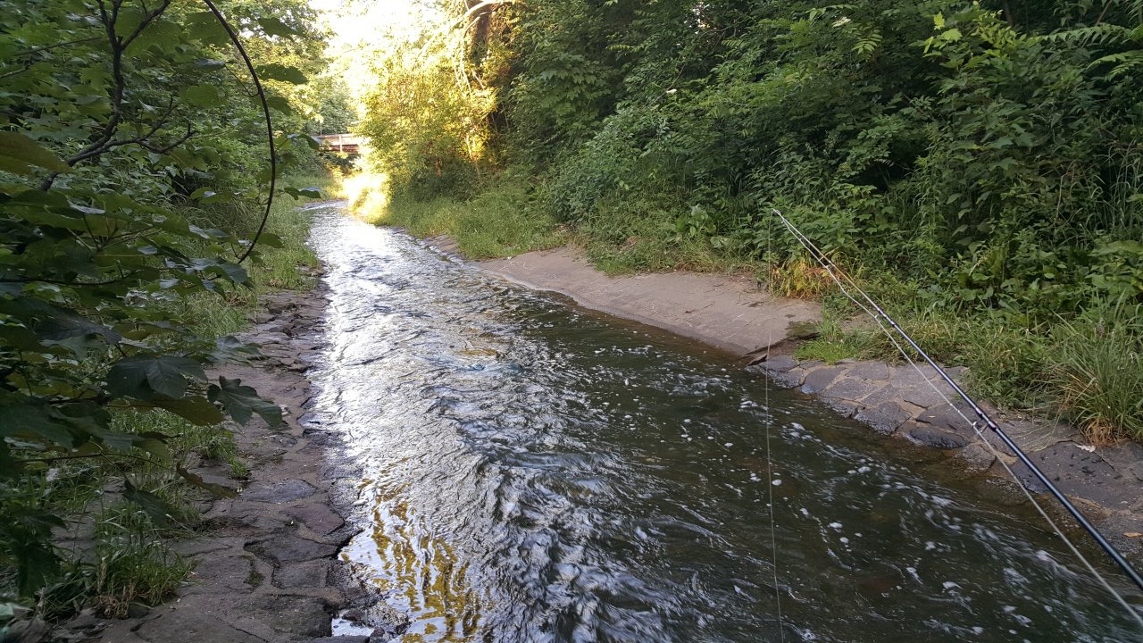 Even here you might catch some fish