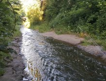 Even here you might catch some fish