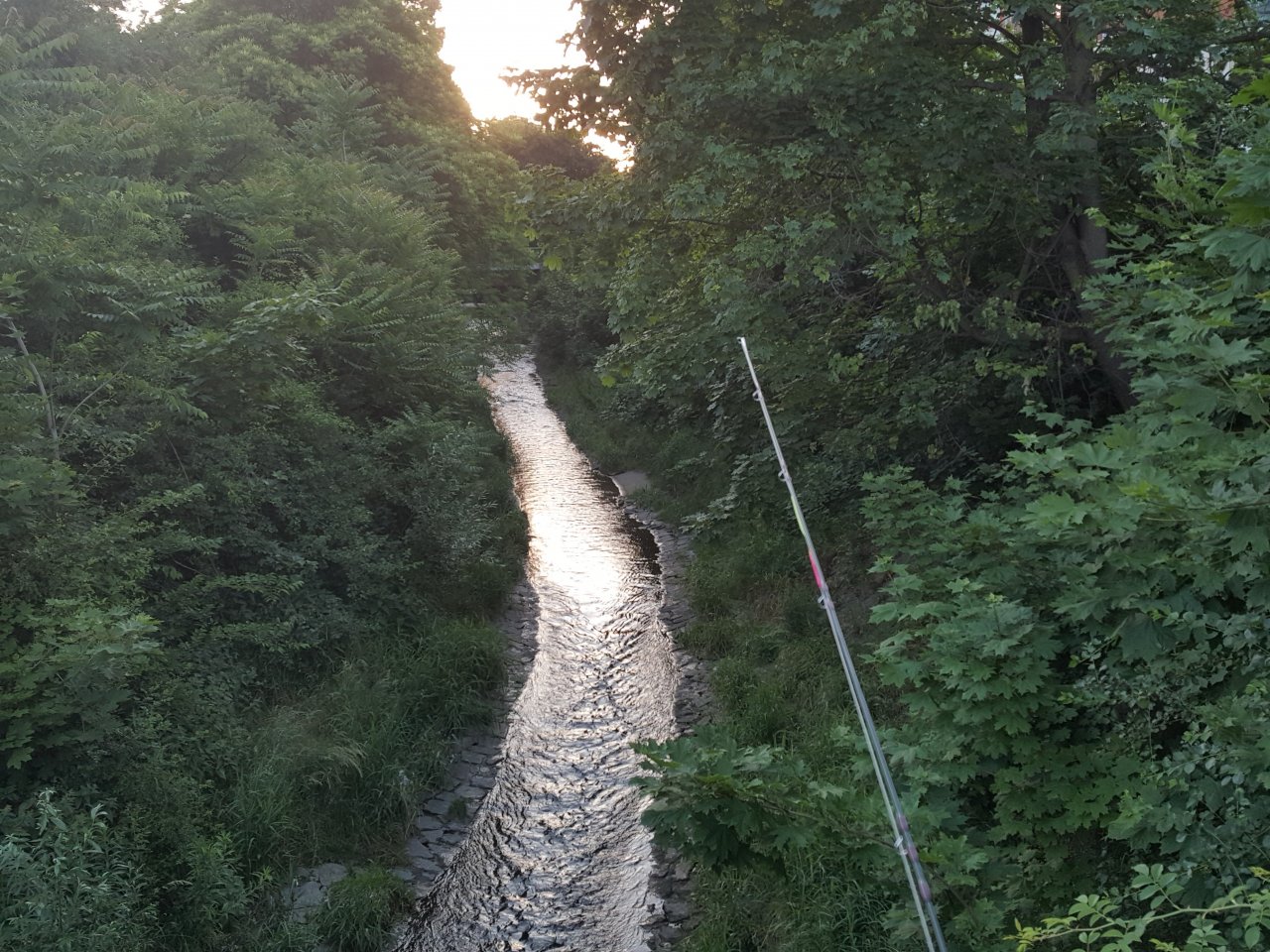 Boty� early in the morning