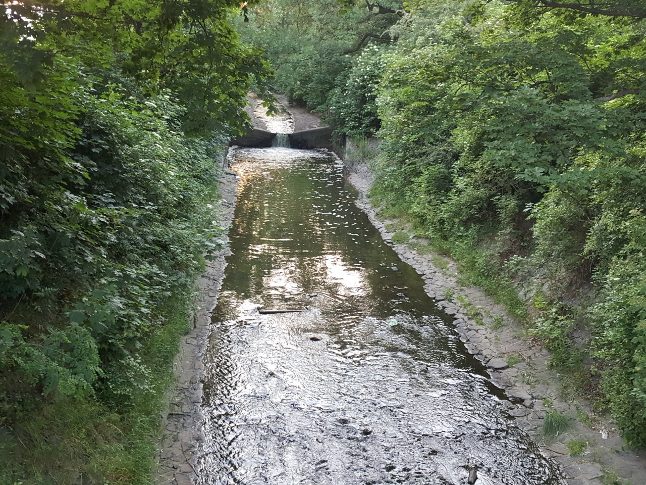 Targeted spot near Grebovka park