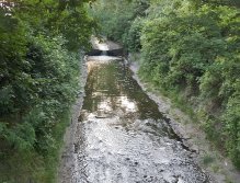 Targeted spot near Grebovka park