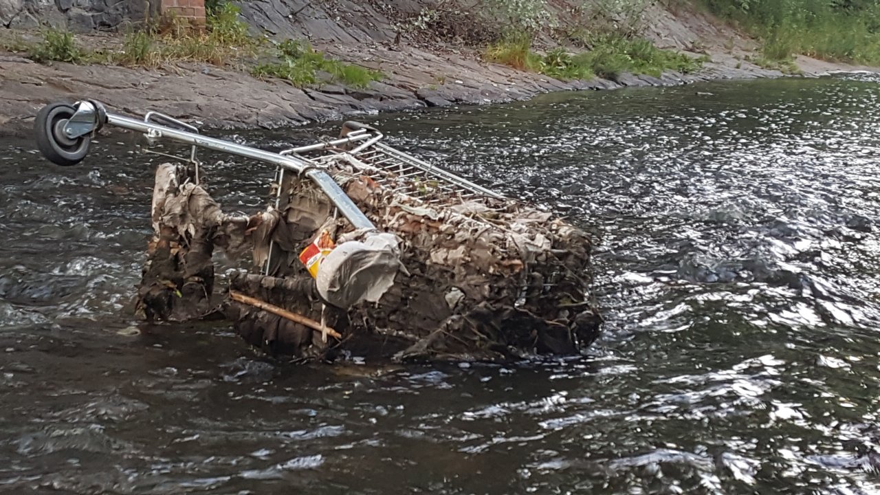 Part of urban fly fishing experience