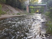Urban Fly Fishing - Botič, Prague