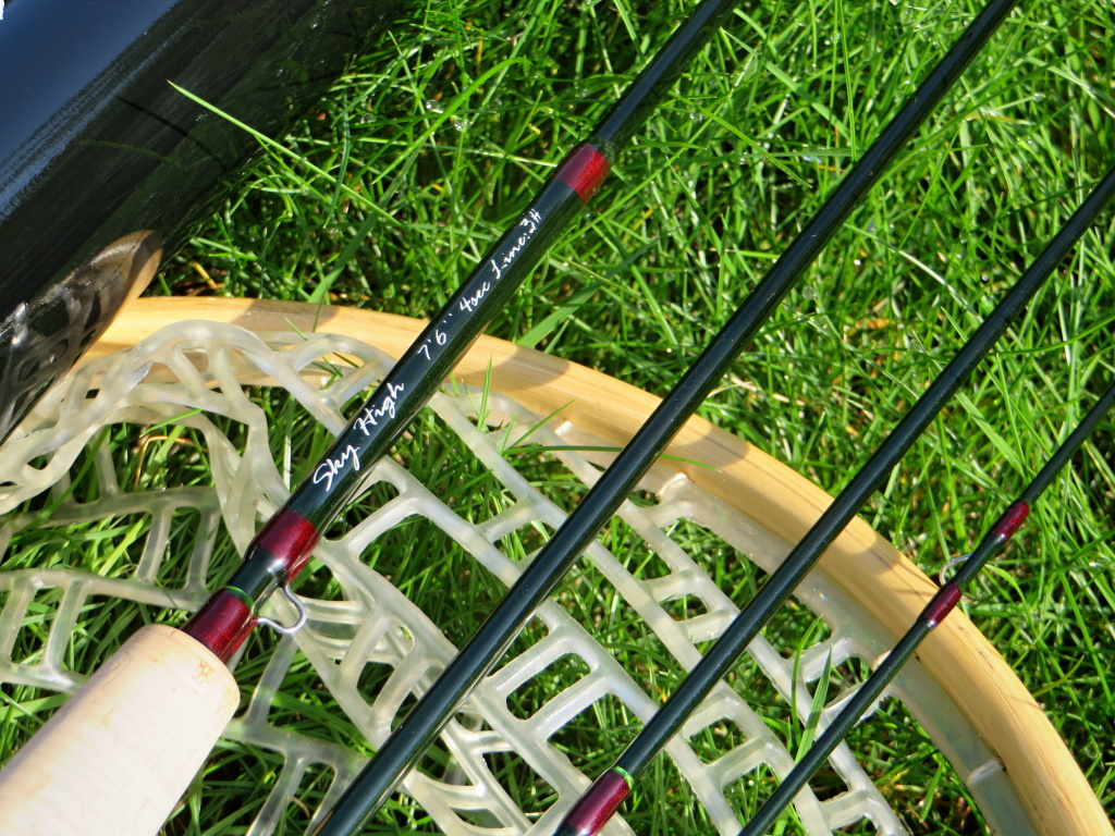 Description of the rod in detail.