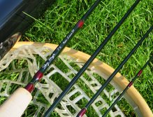 Description of the rod in detail.